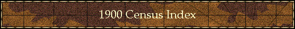 1900 Census Index