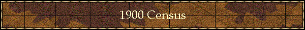 1900 Census