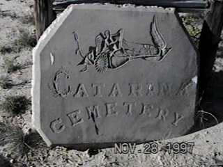 cemcat.jpg (12438 bytes)